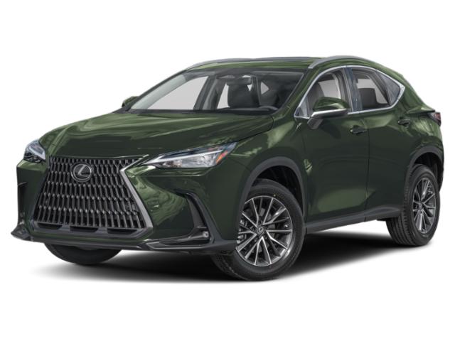 2025 Lexus NX Image